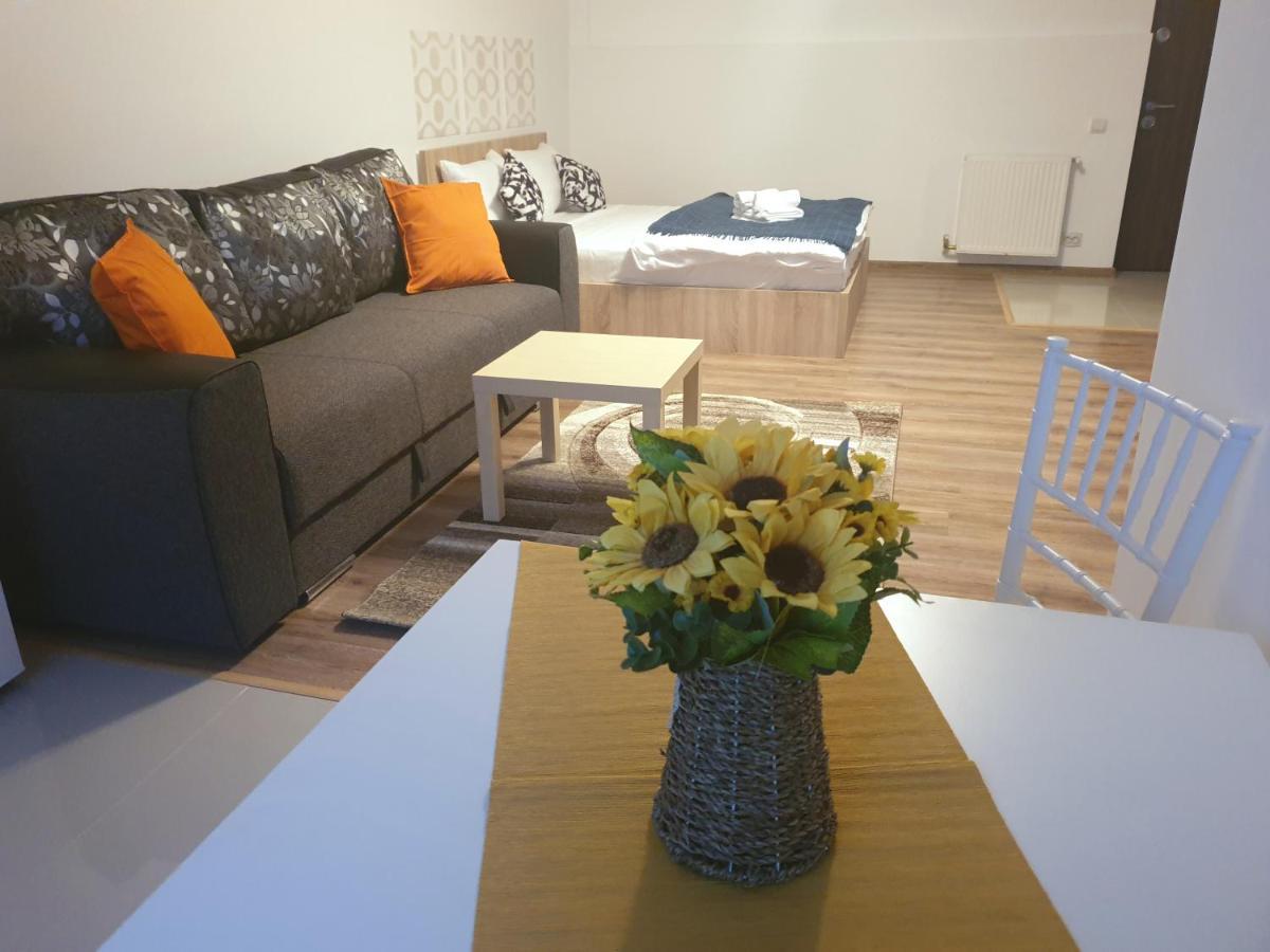 בוקרשט Villa Accommodation מראה חיצוני תמונה