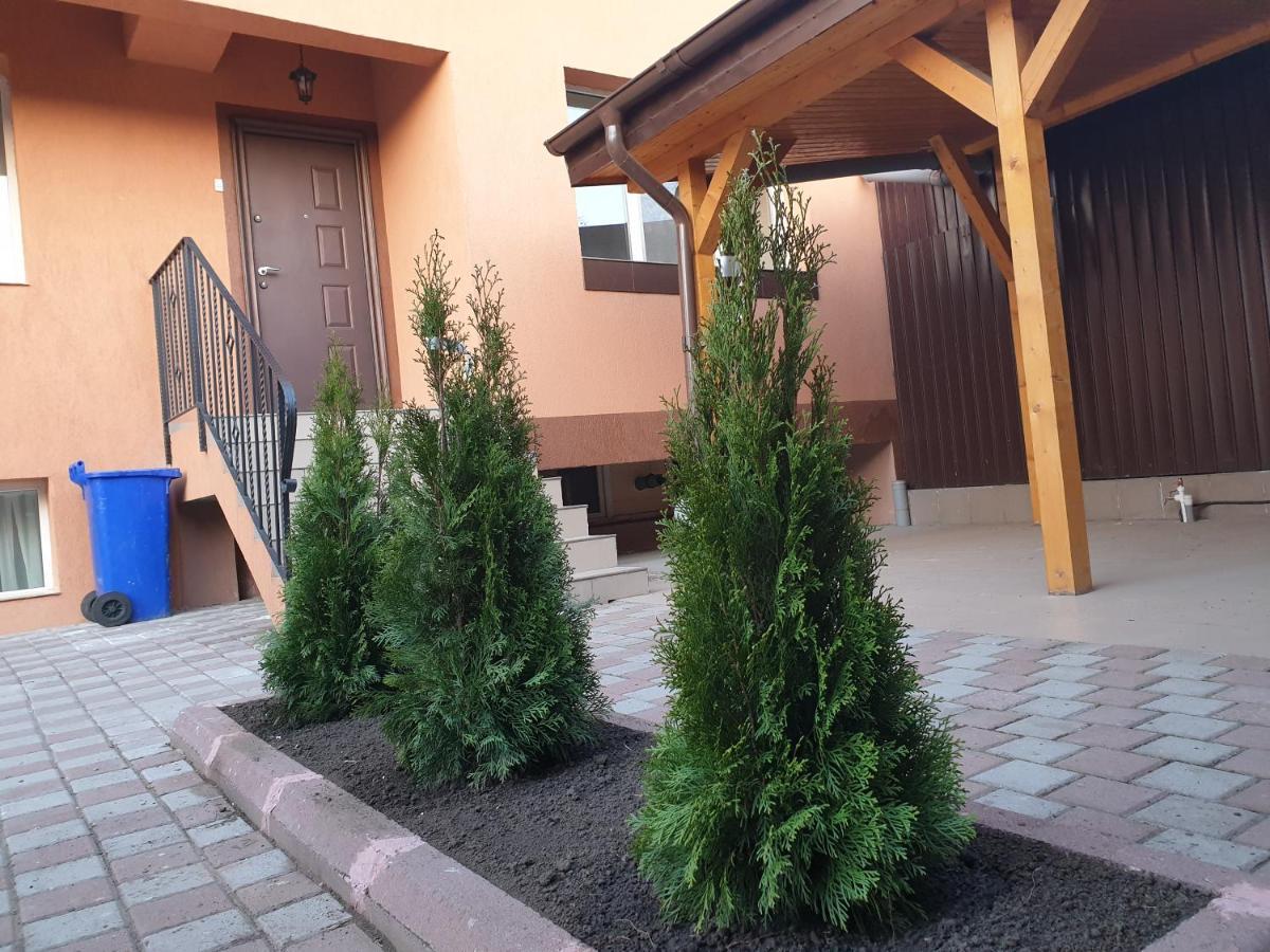 בוקרשט Villa Accommodation מראה חיצוני תמונה