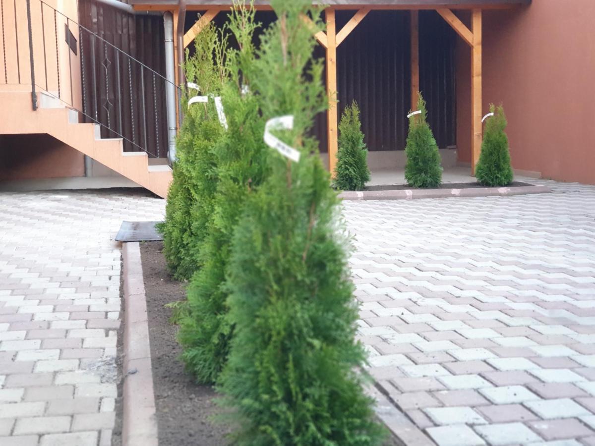 בוקרשט Villa Accommodation מראה חיצוני תמונה